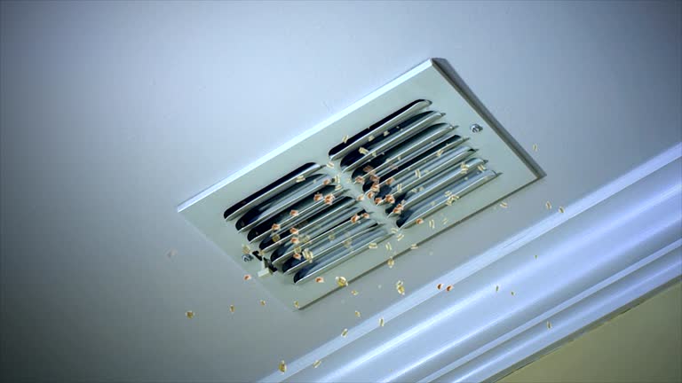 Best Best Air Duct Cleaning Company  in Und City, MO